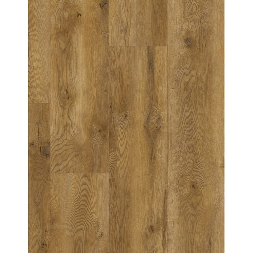 Classen Evolution 63111, decor lemn maro auriu Parchet laminat Classen Evolution 63111, plăci extralate în decor de lemn maro auriu cu noduri, vedere de sus