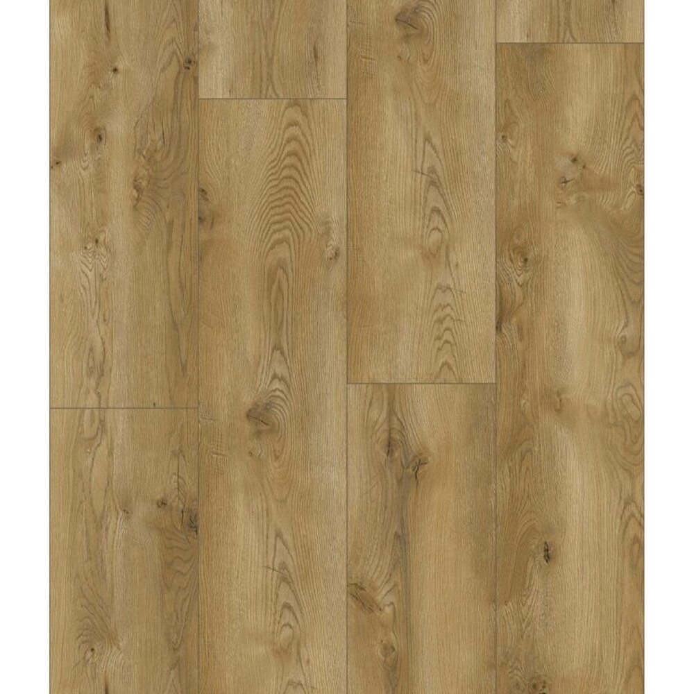 Parchet Classen Evolution 63126, decor Parchet laminat Classen Evolution 63126, plăci late cu decor de stejar cald, cu noduri și fibră pronunțată