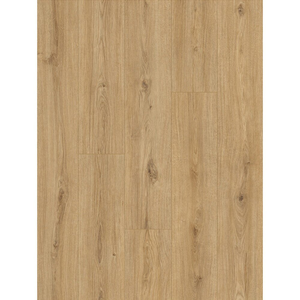 Parchet Classen Legacy 65360, decor Parchet laminat Classen Legacy 65360, plăci cu decor de stejar natural auriu, cu noduri mici și fibră lungă