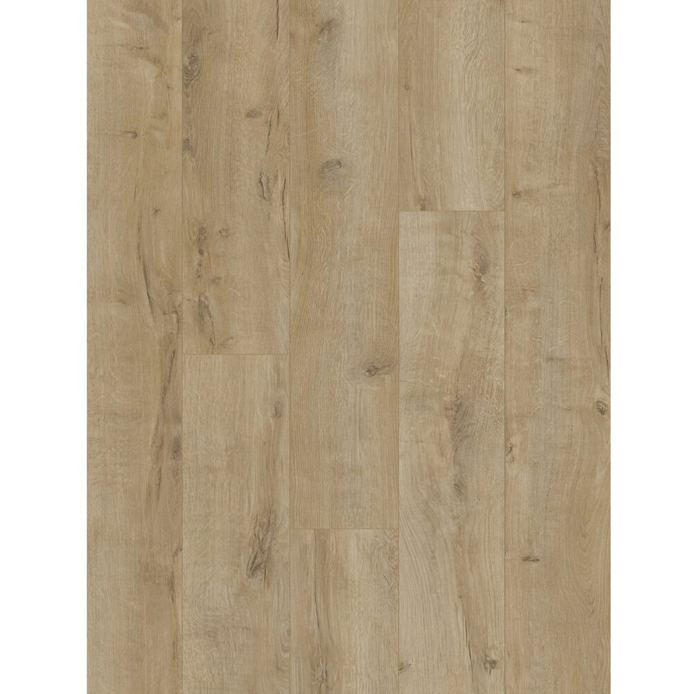 Classen Life 64976, lemn bej rustic, decor Parchet laminat Classen Life 64976, plăci cu decor de lemn bej cu noduri și fisuri, vedere de sus