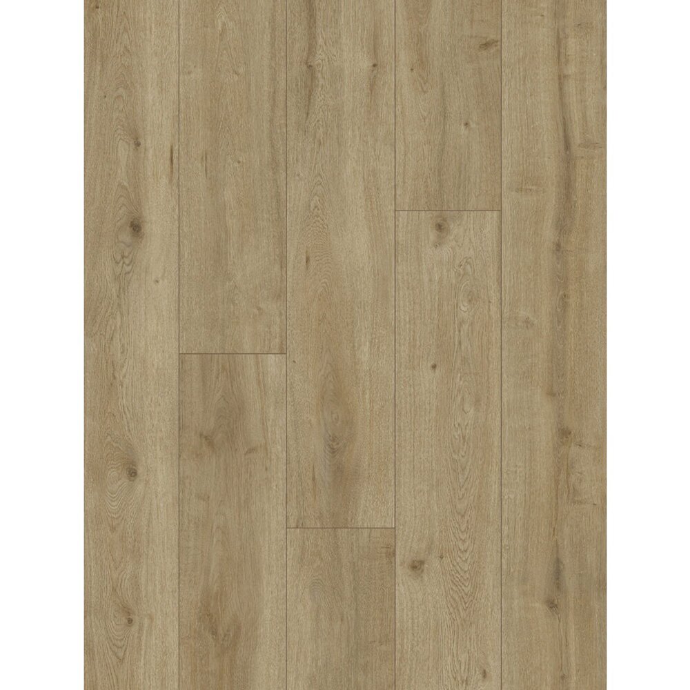 Classen Life 64977, lemn bej-gri, decor Parchet laminat Classen Life 64977, plăci cu decor de lemn bej-gri și fibră fină, vedere de sus