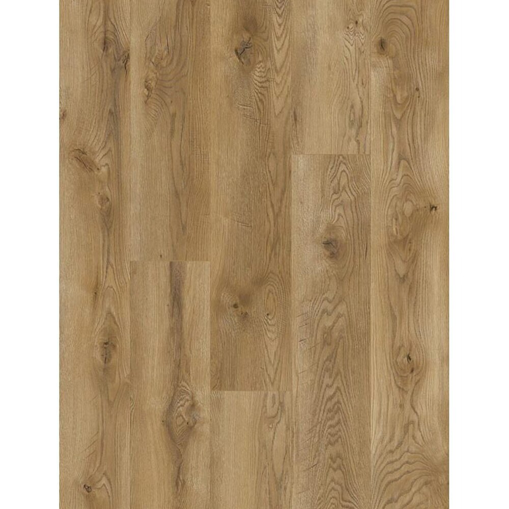 Classen Stars 67136, lemn maro-auriu, decor Parchet laminat Classen Stars 67136, plăci cu decor de lemn maro-auriu, cald, cu noduri, vedere de sus