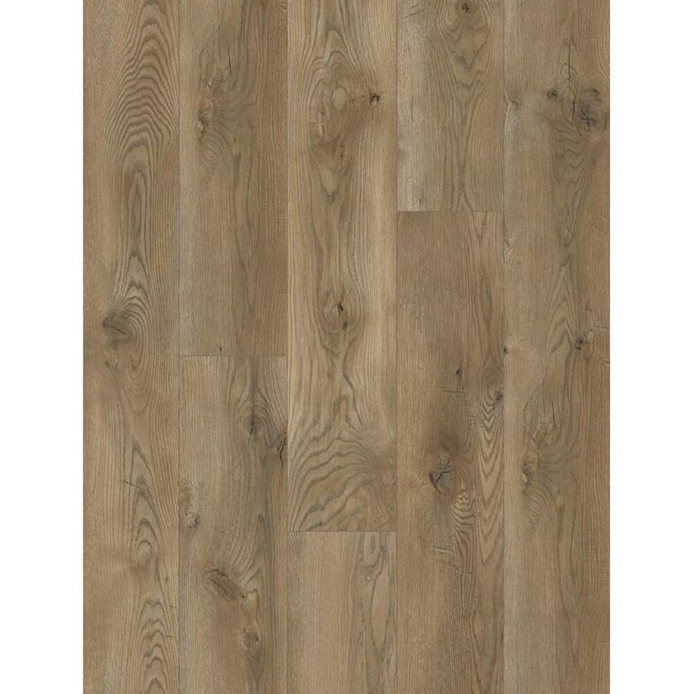 Classen Stars 67163, lemn gri-maroniu, decor Parchet laminat Classen Stars 67163, plăci cu decor de lemn gri-maroniu cu noduri, vedere de sus
