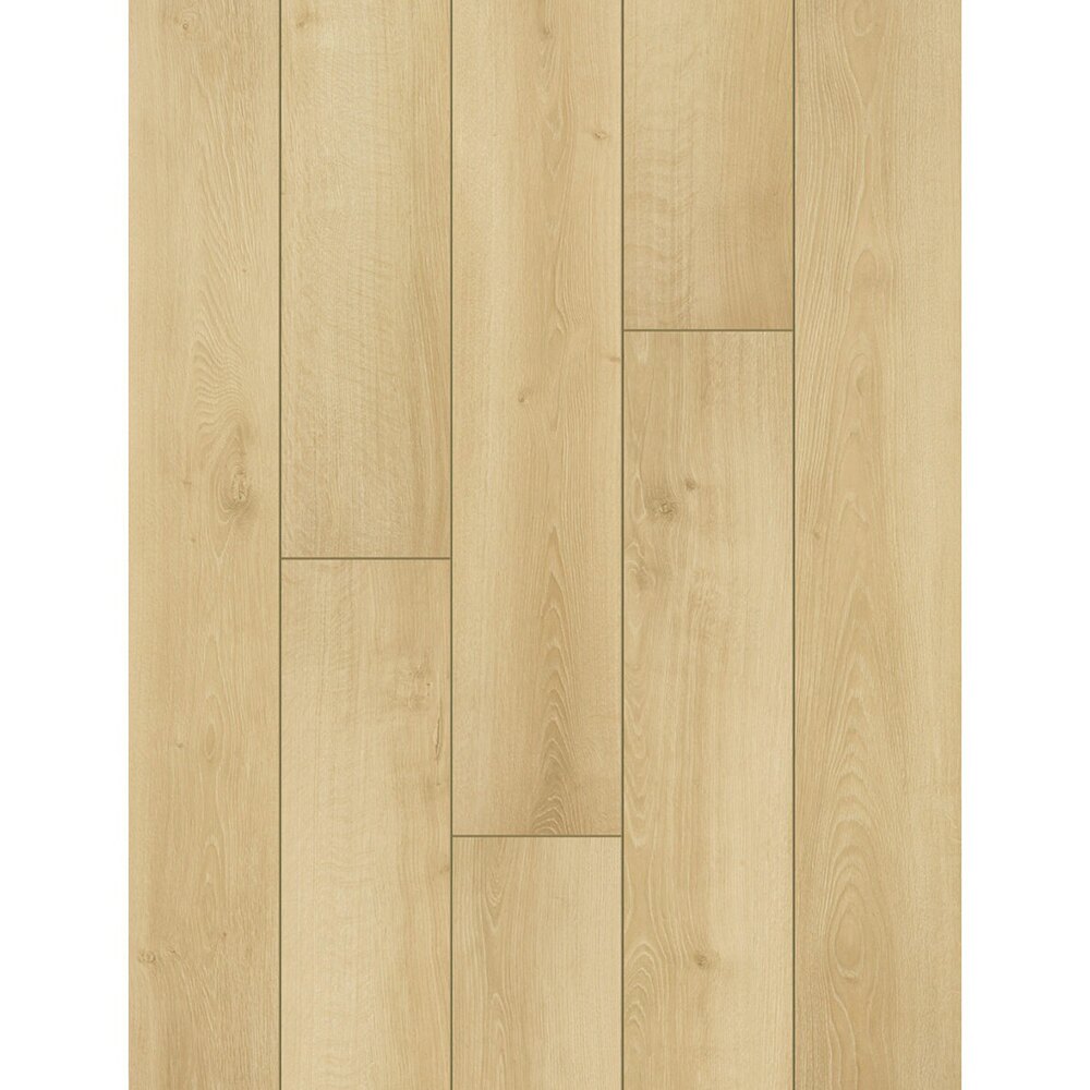 Classen Story 55234, decor stejar natural deschis Parchet laminat Classen Story 55234, plăci în decor de stejar natural deschis, vedere de sus