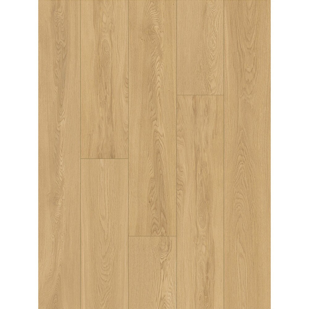 Classen Tradition 65124, lemn auriu deschis Parchet laminat Classen Tradition 65124, plăci cu decor de lemn auriu deschis și fibră fină, vedere de sus
