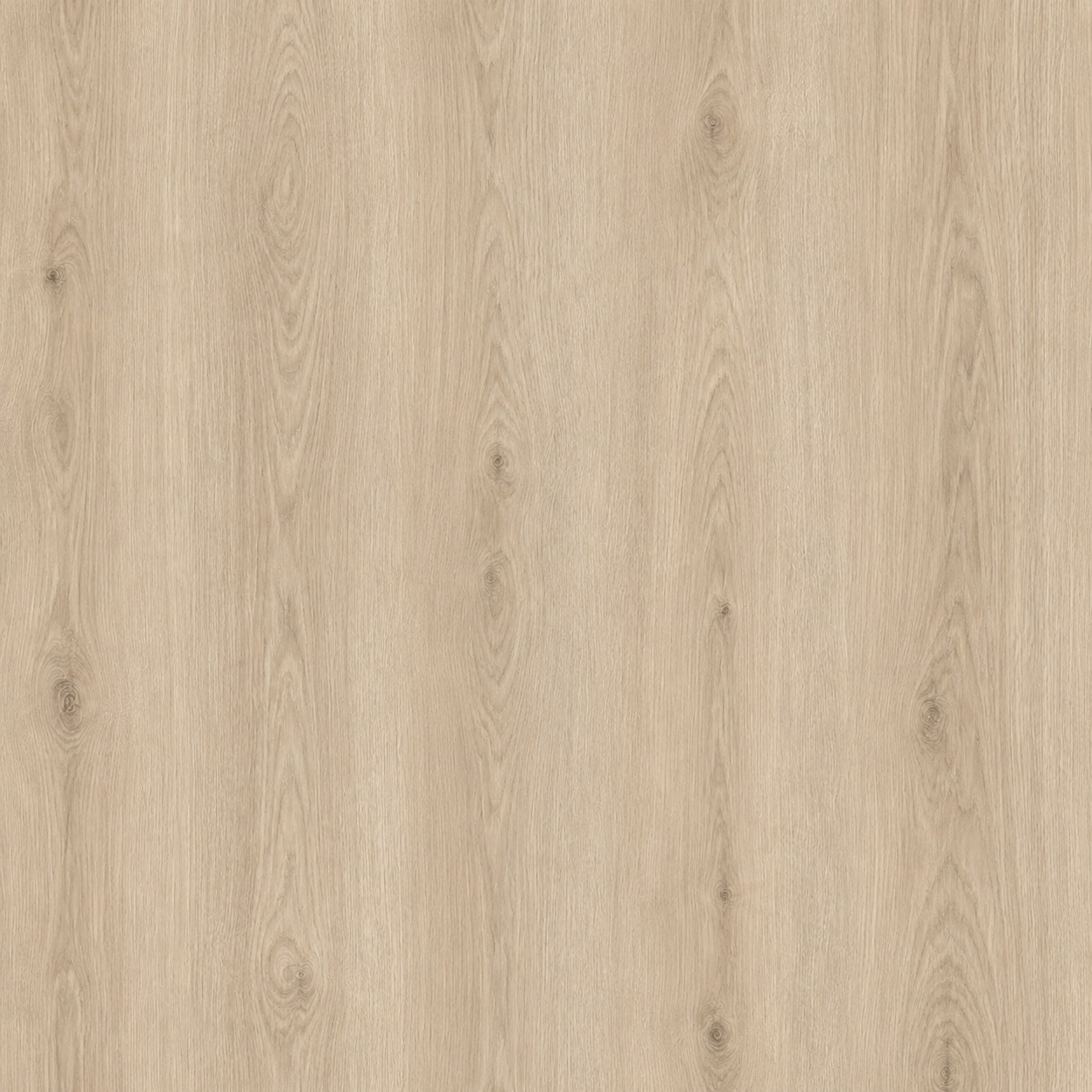 Parchet SPC Eco 881817 stejar, vedere de aproape Parchet SPC Eco 881817 cu decor de stejar natural deschis și noduri mici, vedere de aproape