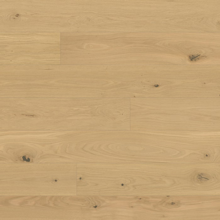 Parchet Eurowood Stejar Eisberg uleiat, plăci crem deschis cu noduri mici, văzute de sus Parchet Eurowood Stejar Eisberg uleiat, plăci crem deschis cu noduri mici, văzute de sus