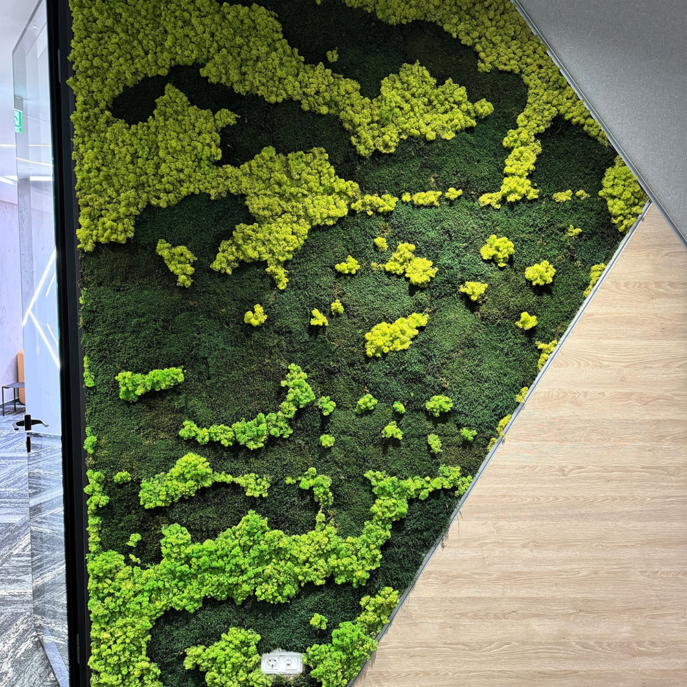 Perete personalizat din licheni stabilizați, insule verde-lime Perete de birou acoperit cu licheni stabilizați, insule verde-lime pe fond verde închis, cu margine în diagonală