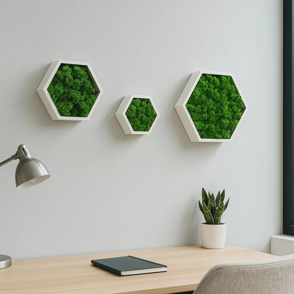 Set de 3 hexagoane cu licheni, ambient birou Trei hexagoane cu licheni verzi, de mărimi diferite, pe un perete gri deschis deasupra unui birou cu lampă