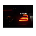 Stopuri LED compatibile cu Mercedes Benz W221 S-Class (05-12) facelift Design — imaginea 3