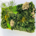 Compoziție de perete din licheni și mușchi în mai multe nuanțe de verde, cu pete bej și galbene