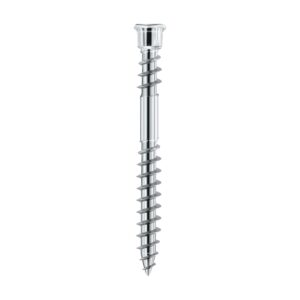 Șurub de terasă Terrassotec din inox A2, cu cap cilindric mic, filet dublu și vârf ascuțit, pe fond alb
