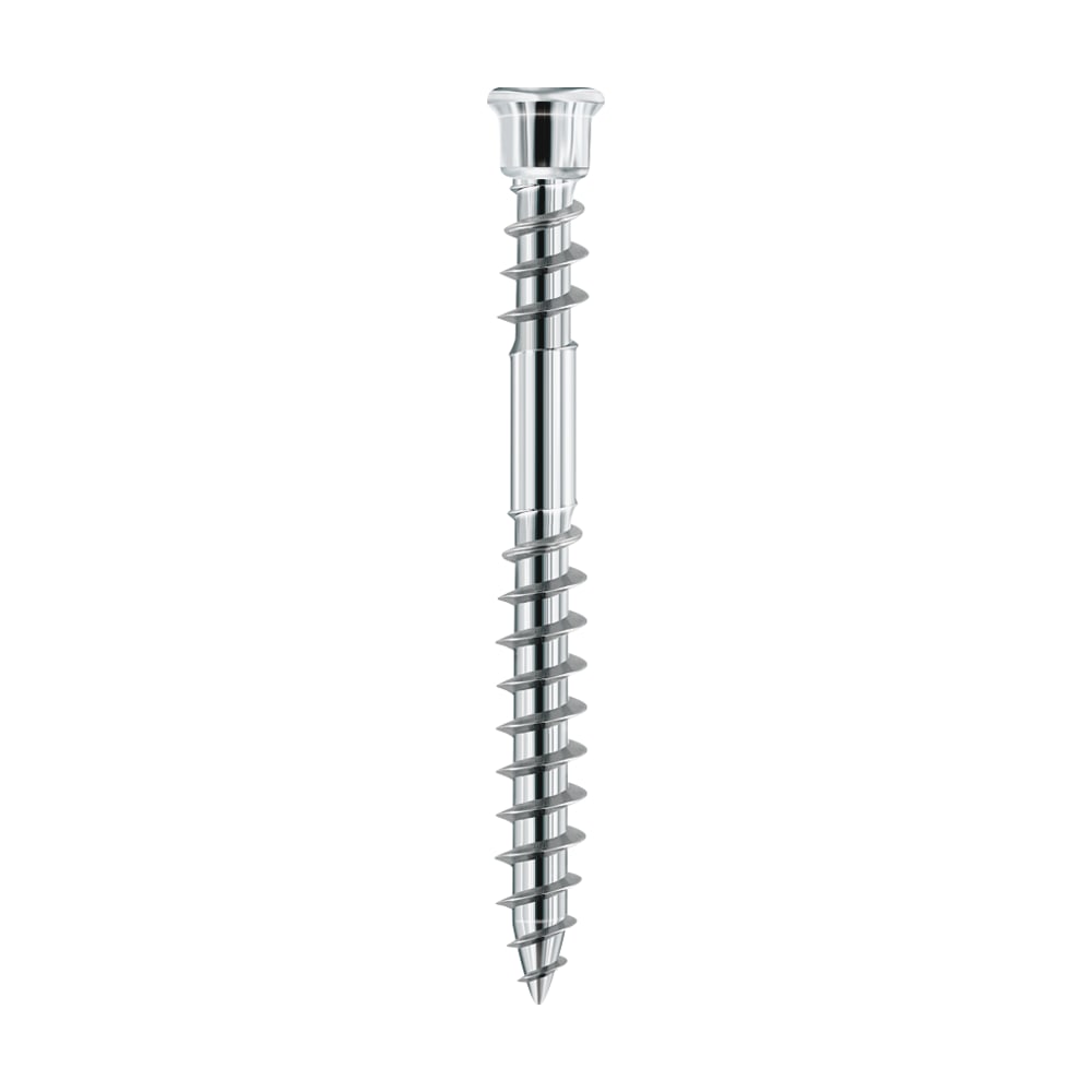 Șurub de terasă Terrassotec din inox A2, cu cap cilindric mic, filet dublu și vârf ascuțit, pe fond alb Șurub de terasă Terrassotec din inox A2, cu cap cilindric mic, filet dublu și vârf ascuțit, pe fond alb