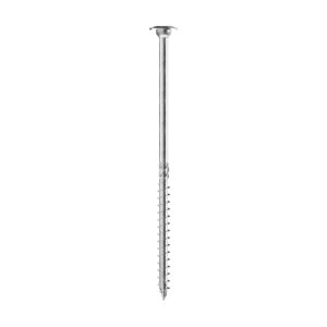 Șurub de dulgherie Holz Technic TLL cu cap plat tip disc, tijă lungă și filet parțial, în poziție verticală pe alb