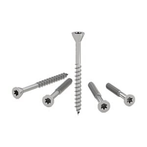 Cinci șuruburi Holz Technic TPP cu cap mic înecat și amprentă Torx, unul în picioare și patru culcate, pe fond alb