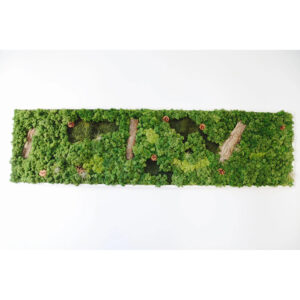 Tablou lung din licheni în nuanțe de verde, cu bucăți de scoarță, conuri mici și plante cu frunze fine
