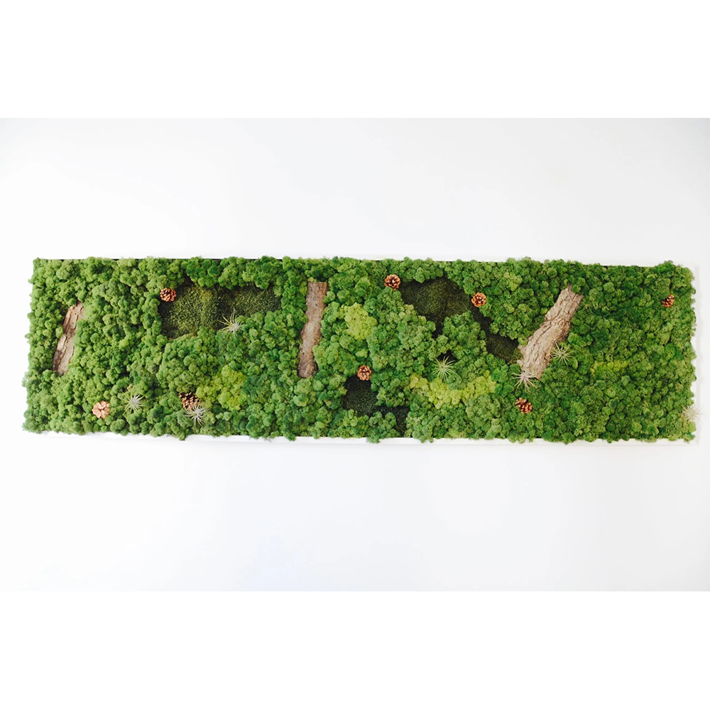 Tablou Capodopera naturală, vedere frontală Tablou lung din licheni în nuanțe de verde, cu bucăți de scoarță, conuri mici și plante cu frunze fine