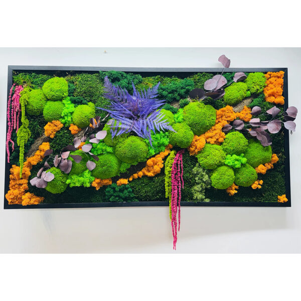 Tabloul de 120 × 60 cm din față, cu perne de mușchi verde, licheni portocalii, ferigă mov și ciucuri fucsia