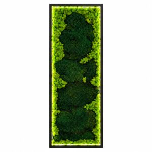 Tablou vertical cu perne de mușchi verde închis pe centru și licheni verde deschis pe margini, cu LED aprins în ramă