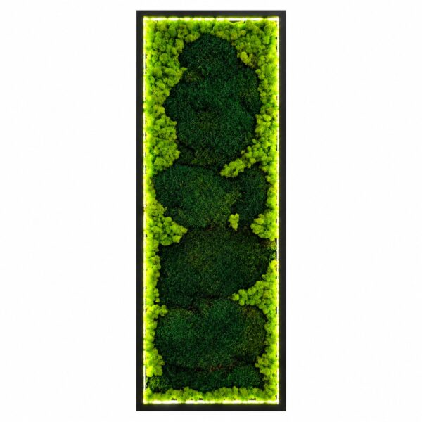 Tablou vertical cu perne de mușchi verde închis pe centru și licheni verde deschis pe margini, cu LED aprins în ramă