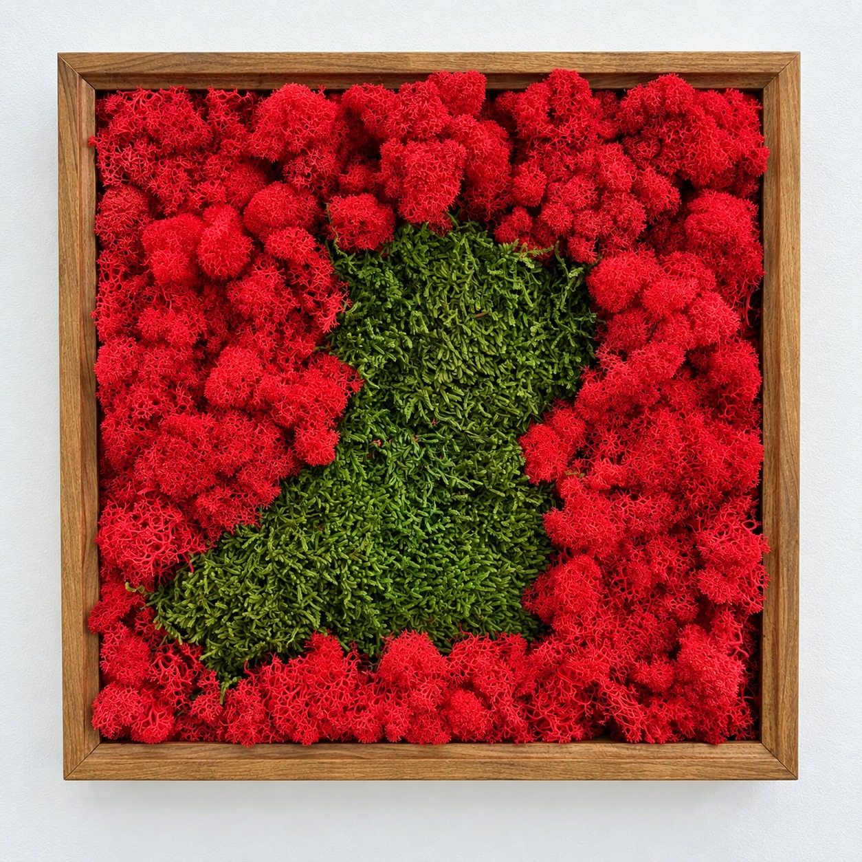 Tabloul cu licheni roșii în ramă de lemn Tablou pătrat cu licheni roșii și o zonă de mușchi plat verde, în ramă maro cu textură de lemn, văzut din față