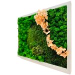Tablou Esența Naturii văzut din unghi, cu relieful mușchiului și florile în nuanță de piersică