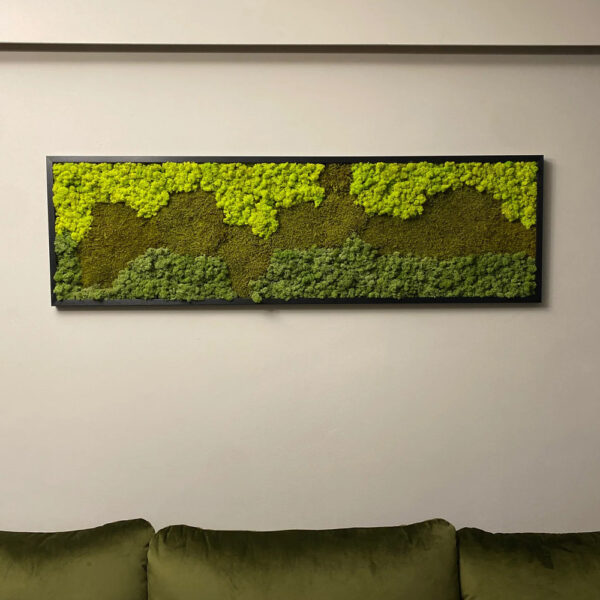 Tablou din licheni stabilizați verde-lime, oliv și verde-gri, cu ramă neagră, deasupra unei canapele verzi