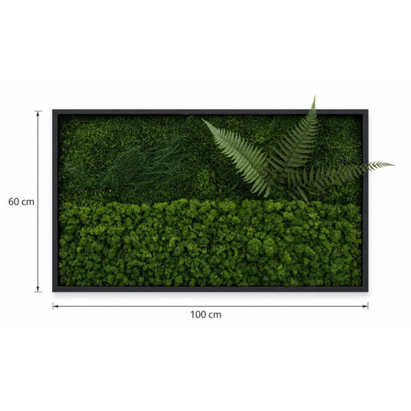 Tabloul „Poiana cu Ferigi” din față, cu cotele de 100 cm lățime și 60 cm înălțime