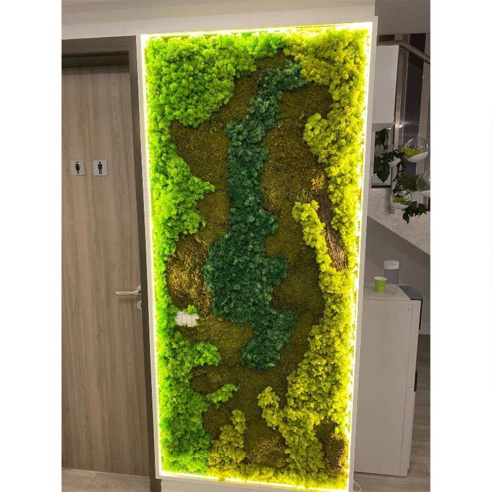 Tablou din licheni cu iluminare LED perimetrală Tablou vertical mare din licheni și mușchi în nuanțe de verde, cu contur LED, lângă o ușă de lemn